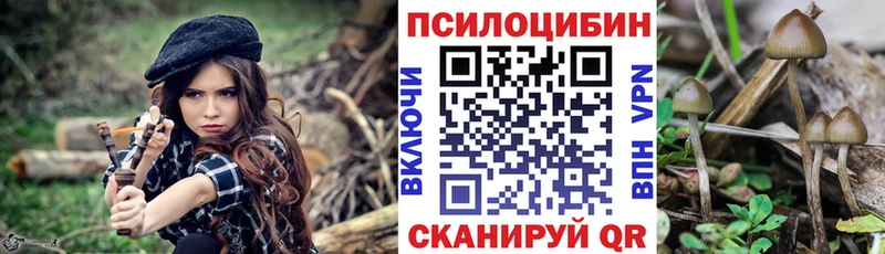 Галлюциногенные грибы мицелий  купить наркотик  Городец 